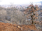 sár