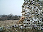 valamit talált