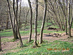 Pihenő