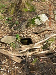 Barlang-kút