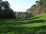 a láda felé