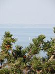 kilátás