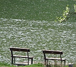 Tóparti padok