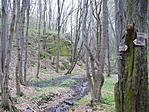 Patakocska
