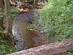 folyó1