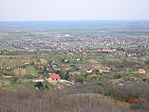 Nyúl