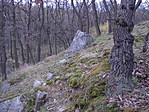 A ládától