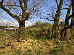 A csúcson