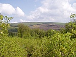 Piros négyszög