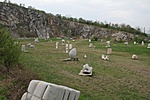 Szobor-gombák