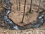 Patak meander