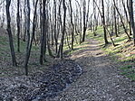 Tavasz