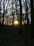 Napnyugta