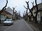 A Maria utca megcsonkitva