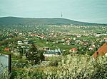 Panoráma