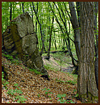 őrszem