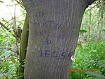 Miért is kellett????