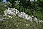 Itt lakik