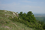 Szikla