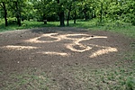Etető