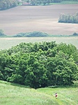 lefelé könnyebb