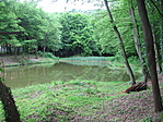 tavacska