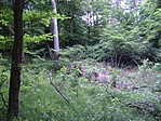2. palack közelében