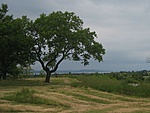Látszik a Balcsi