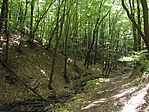 A patakvölgy