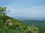 Kilátás a Kopasz-hegyről