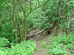 A rejtek