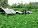 romok