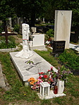 Karádi Katalin