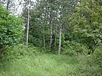 Rejtek