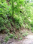 A hasadék alján