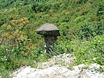 Gomba
