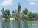 Tó 2