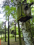 Madárlak