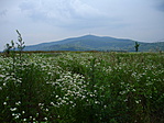 Szép rálátás a Tokaji-hegyre