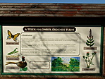 flora-fauna
