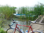 Stég