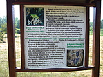 Ismertető tábla