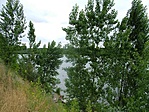 Pecáznak
