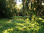 park