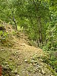 Perem