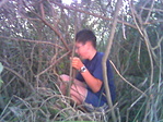 A bozótban