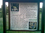 Tábla