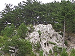 Sentinel