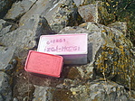 Kettesben