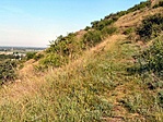 A tanösvény